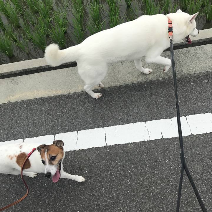 83e912bd 8b63 4178 b3de e3ea7bc908f8