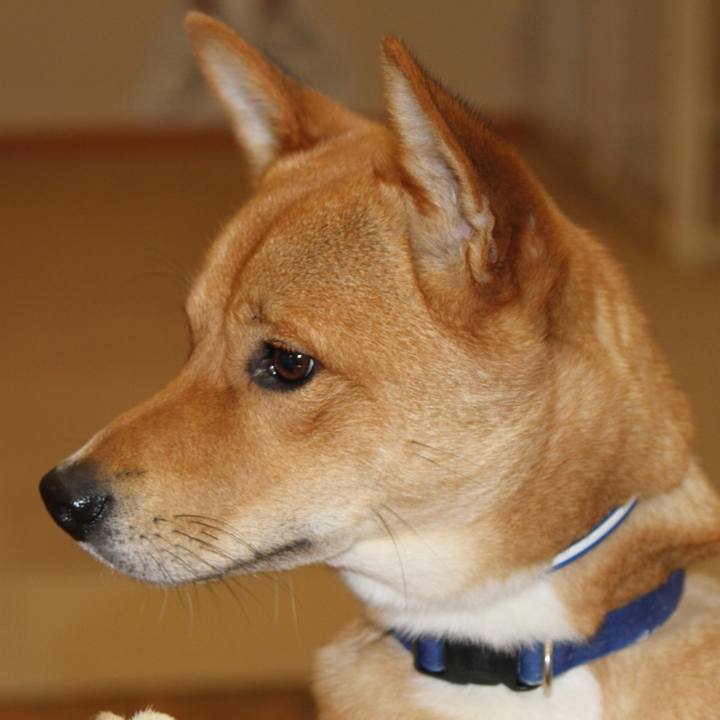 83e986e8 1243 466f 85eb 0e676cbbf059