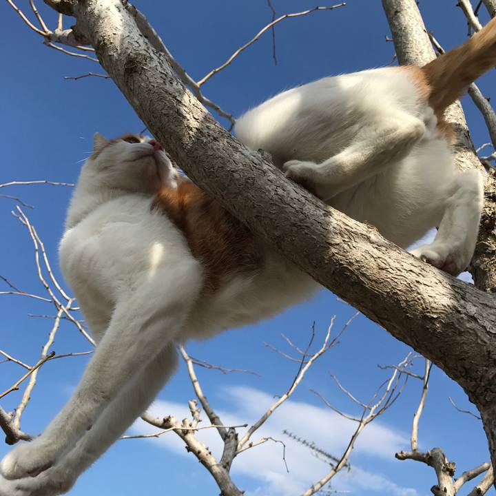 83e9a045 0dc6 46de 8884 6529aa1a2756