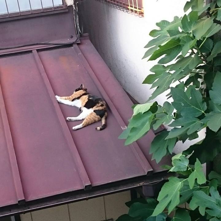 83ea67f2 e7ee 4b8e abc9 775f96eed8e4