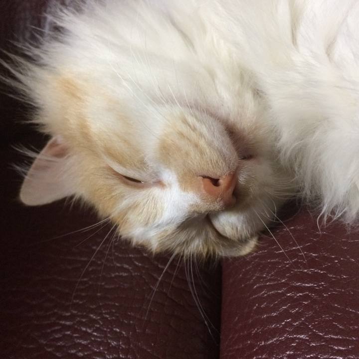 83ea805c 065b 4ee4 8d04 d8a048ccf701