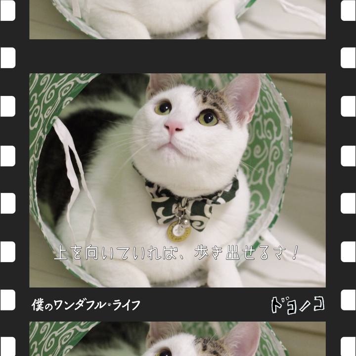 83ea9750 d259 4277 912c 1623ef730ac8