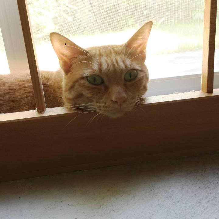 83eb5e50 1b87 4b5d 9e69 94dab976d18b