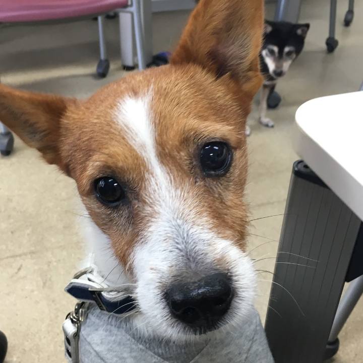 83ebad4b 2b85 40ba 97b6 fee3be5adb67