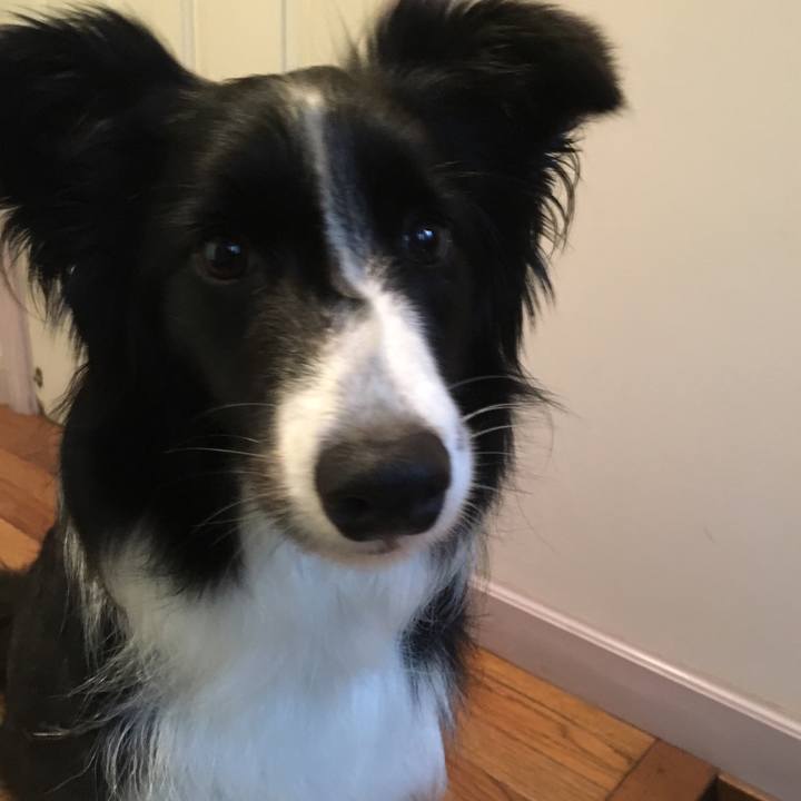 83ebc9eb 8b1b 435e a05c 91ff021c1c77