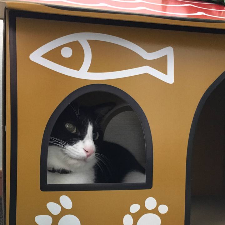 83ebded2 c5c5 4b3e 8fb0 af0b4d0a829b