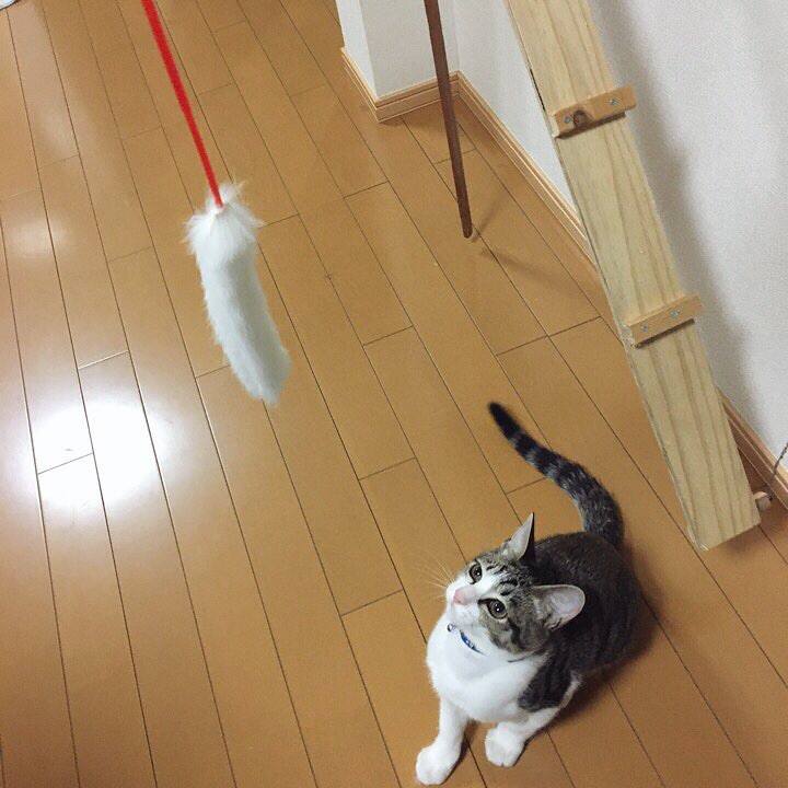 83ec4007 d77d 4f01 b6a9 86677a3121a7