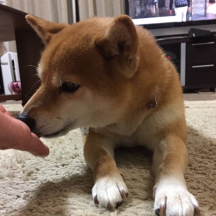 83ec75ec 7333 4d2e 8bc8 a7210cd9446f