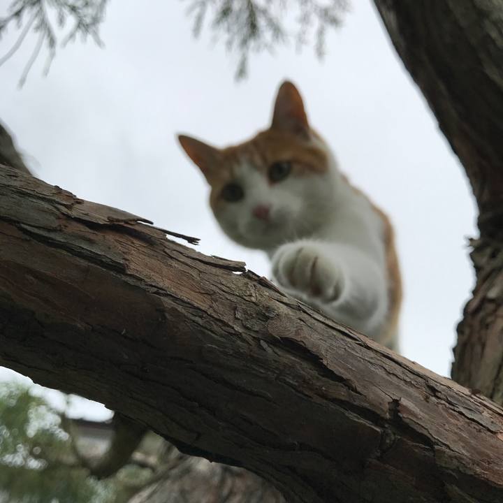 83ed0af5 ed3c 4de1 b1b0 a68d097e6c89