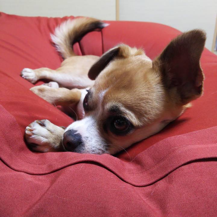 83ed1596 e51b 466b a7c1 b3c180b45415