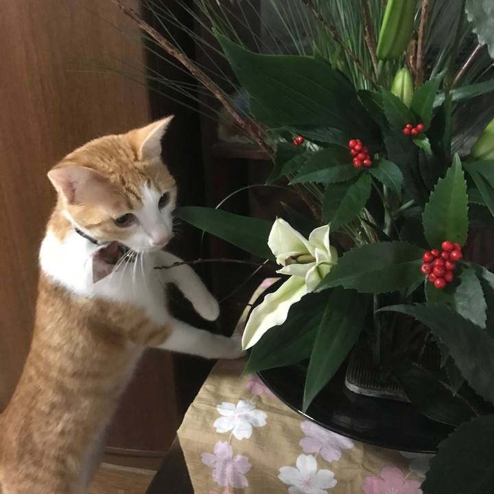 83ee4882 d0c1 4d7f 9bef 4e0f11b6d834