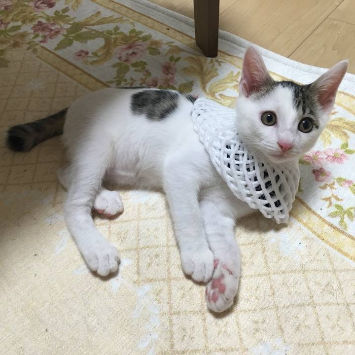 83eed0a5 c3bf 42f9 9d35 8ab93041a95b