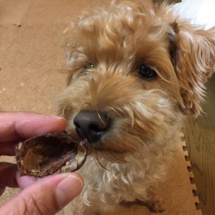 83ef1476 af23 4af2 829c 2064a90c9e63