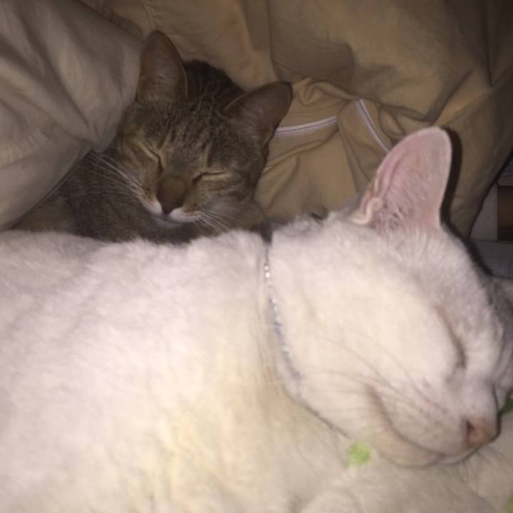 83ef1b43 b1a1 47fc 811b f48aa5ba3ac1