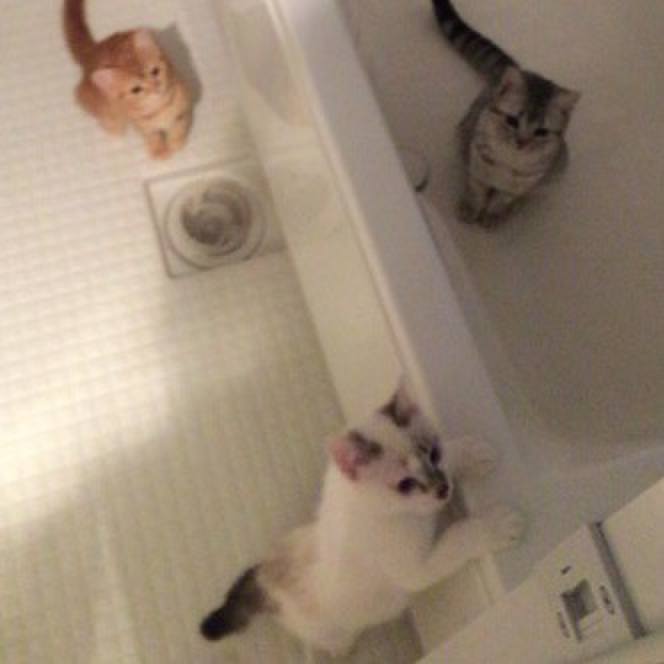 83efa157 7854 450e b8ca 748f22c9403b