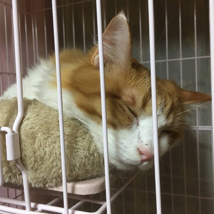 83efcd48 f74f 4b4f ba5c 8885deda8934