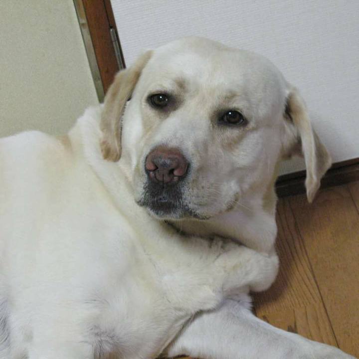 83f0a743 ecd0 4ea8 b93f 881423639bfb