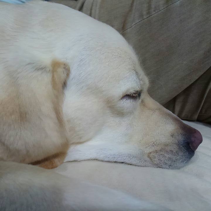 83f0a994 7293 46b5 a461 b728b35dde3c