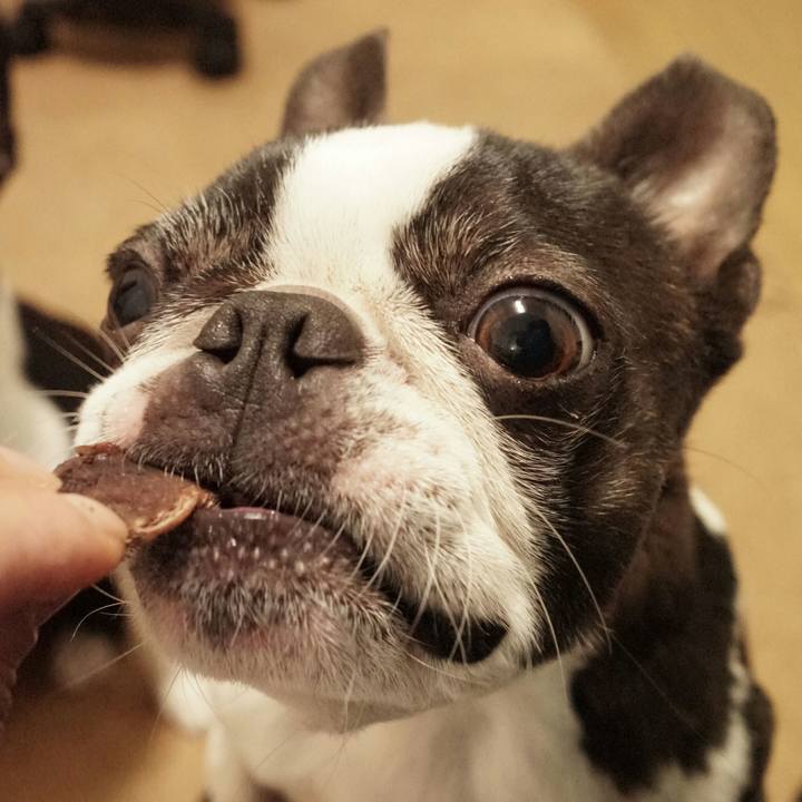 83f0f616 683e 429d a934 b65645c1251e