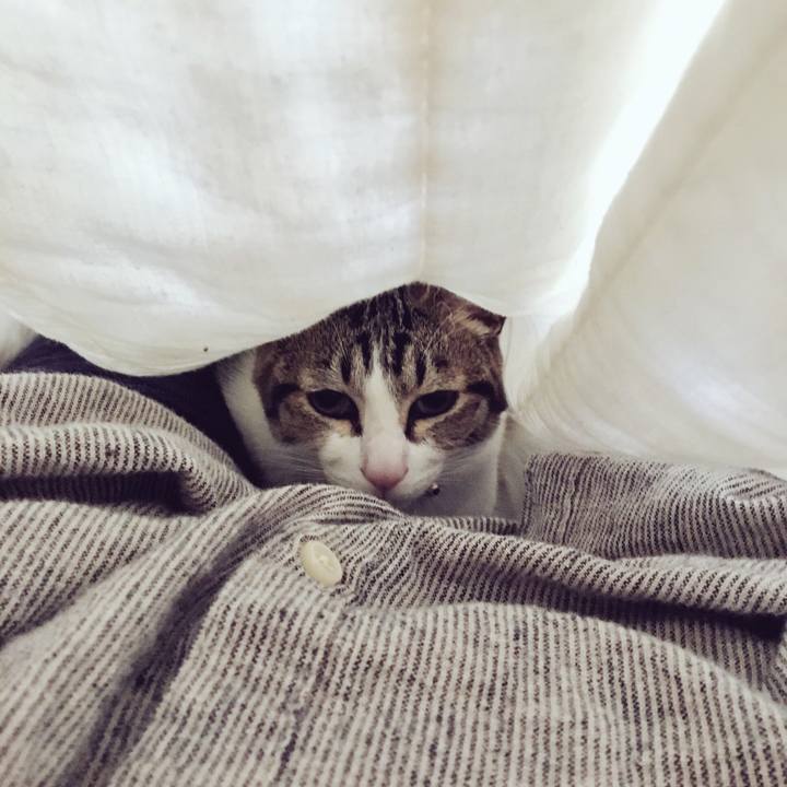 83f25c65 9067 4b97 99c7 9d4676163ce4