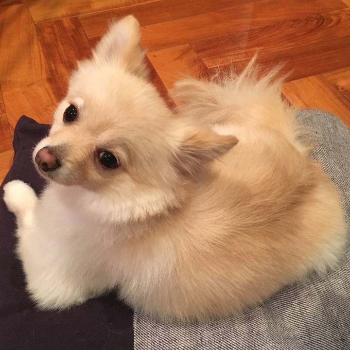 83f286ce df70 429b 9315 eefbbe2de663