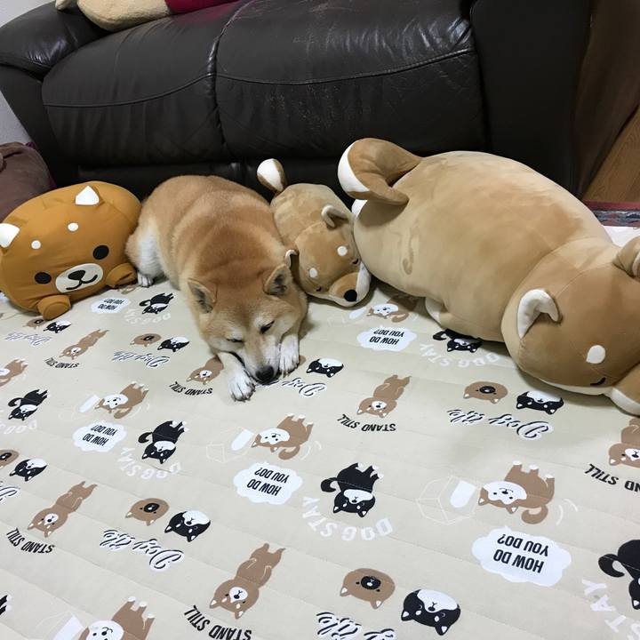 83f2e3a4 4b21 4003 a17b 9201aef2f11f