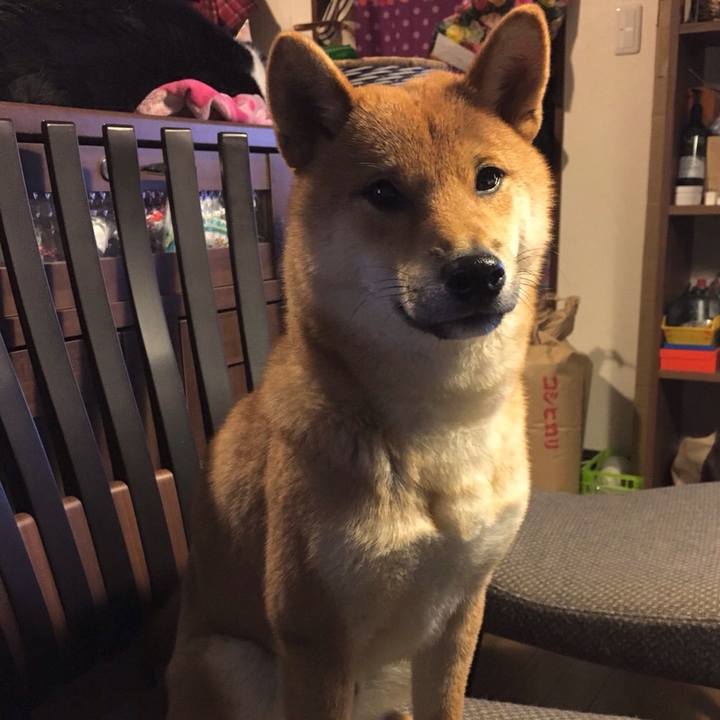 83f41704 4c00 4cc7 9e72 ba5d234f7f91