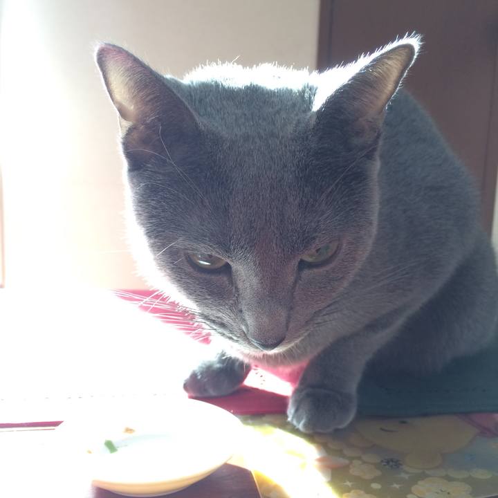 83f428f5 542a 4b3b ac21 8df48b1974a4