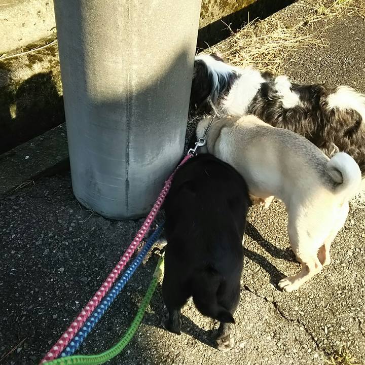 83f4bb44 a857 4440 93ef a91014bf94c7