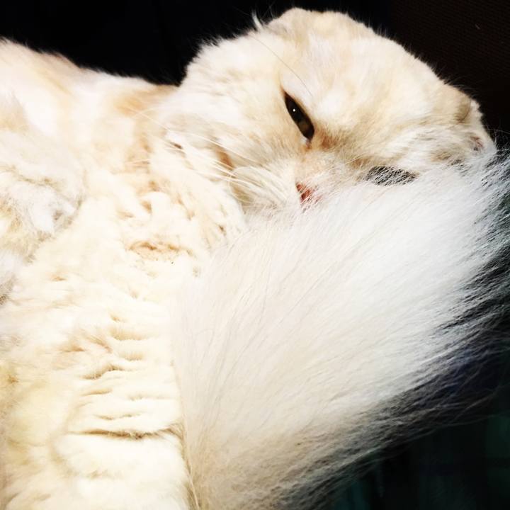 83f51688 9f71 4515 a2bd afb85c4e5f53