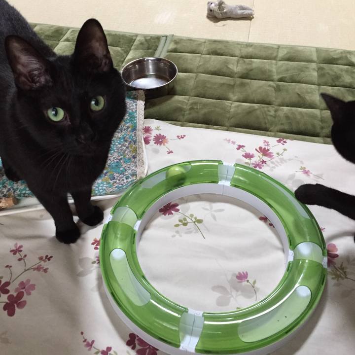 83f576ef 2f4e 4789 a900 172340154a0e