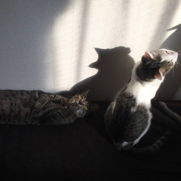 83f5e2e9 f425 4fda 825f c5e024dff34a