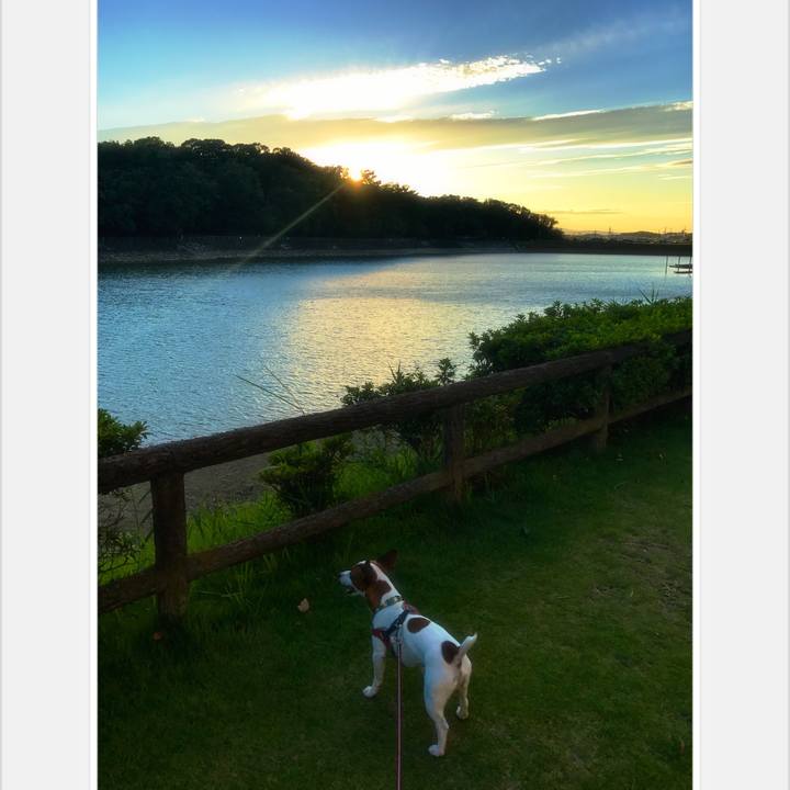 83f5f972 ba0f 42a4 a684 620c2234aa2e