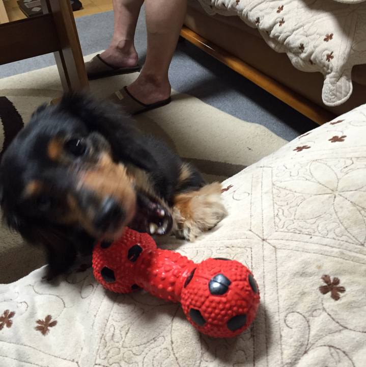 83f6d2ce 9613 4d40 8d82 c6ef8d383729