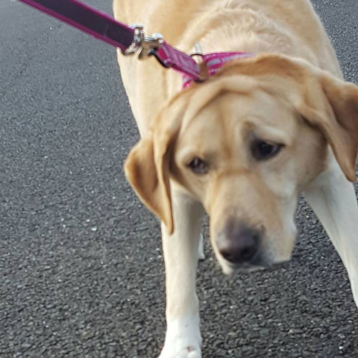 83f78f99 314e 4d1e 8bb8 7440cc123ecd