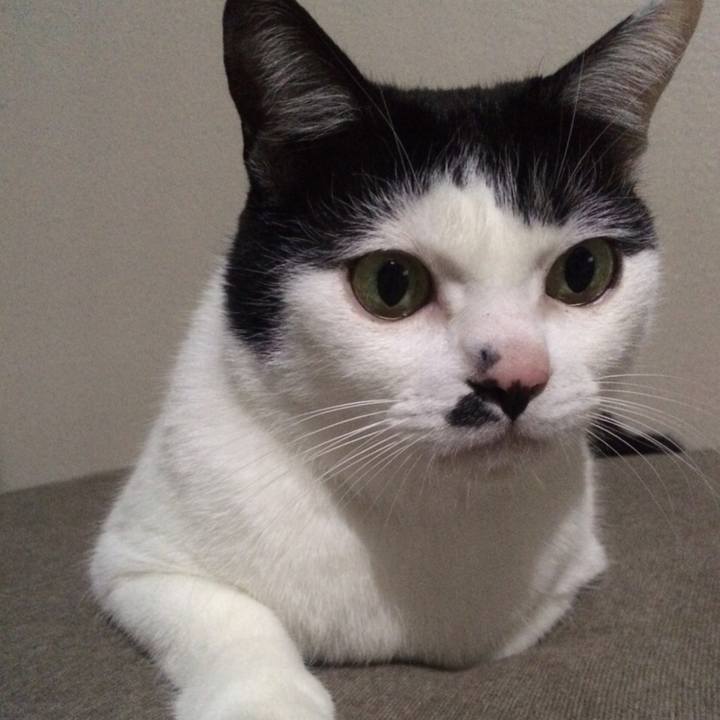 83f7d75e 695b 4634 be52 d3dee3c7379a