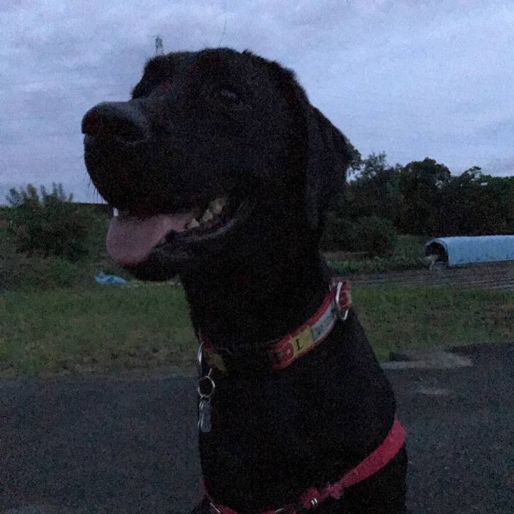 83f7f526 d951 44b9 bbff 815a2a22fdf0