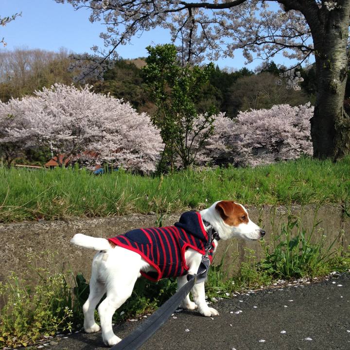 83f7f9d5 50e1 4726 8821 0770a19803fd