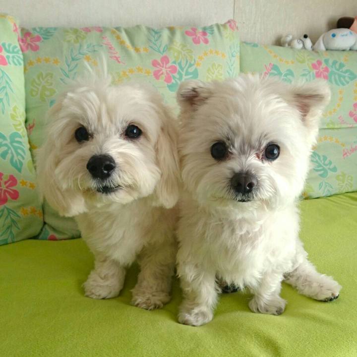 83f80989 b238 4641 8754 39b6e06674d9