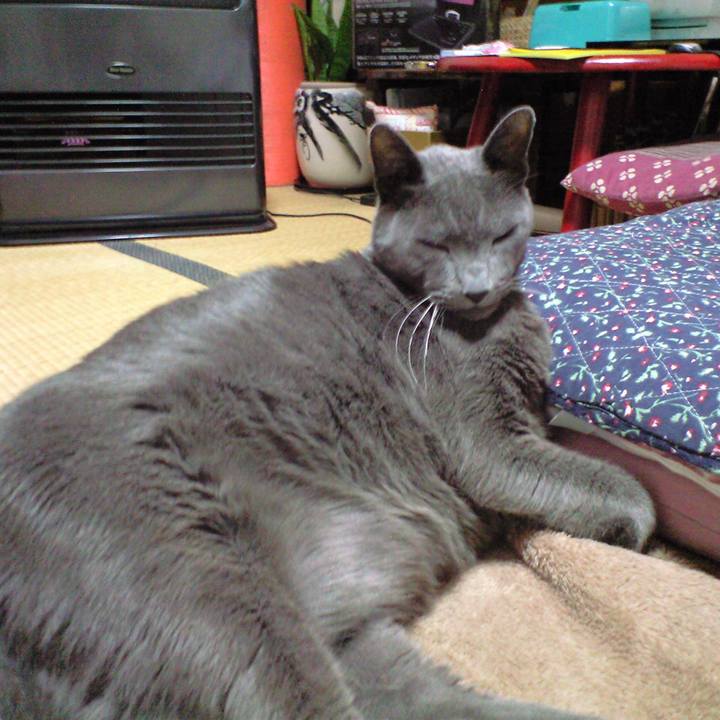 83f8322d b4d2 47d4 81c8 7e86a10ddc66