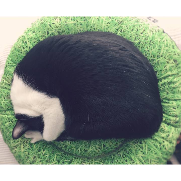 83f919f8 cd20 49b8 b1e7 21d2c5797f69