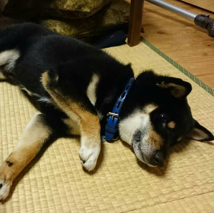 83f92682 43ee 4952 a497 0aae3a4c696c