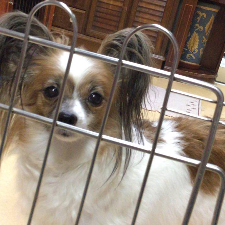 83f98334 6e90 465c 9644 a7b7d48f726b