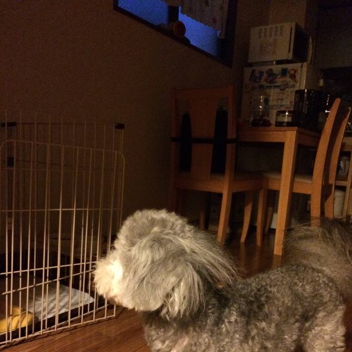 83f993fc d69c 45dd 8597 4da320b98977