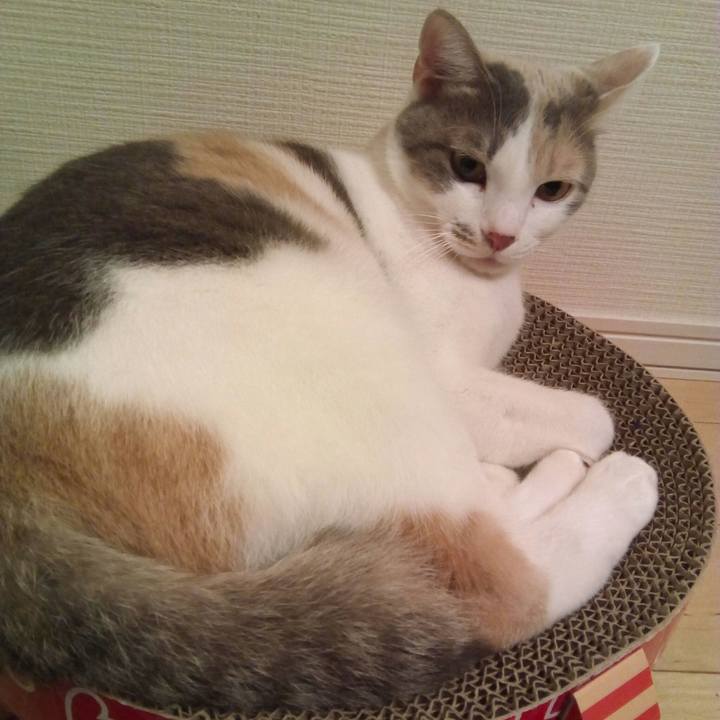 83fa3014 a760 489a a40d 23cfd980bc5f