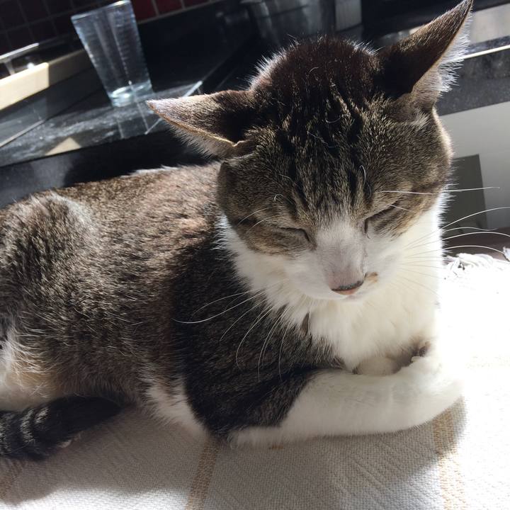 83fa61f0 ac3f 4f0c b308 b7ad28fe2f45