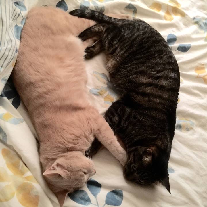 83fb0190 ab70 4d4b a320 7907441fadc3