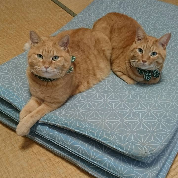 83fb18ad ae4f 443d b8ac 1e3301a4bb64