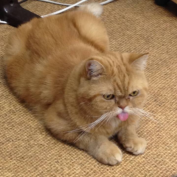 83fb54ad 1e52 4b46 b710 a777590dd7a7