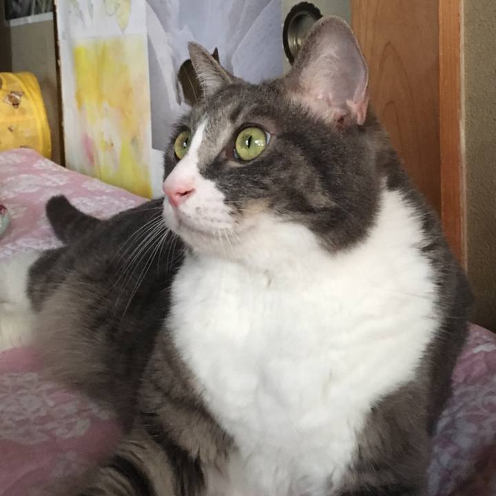 83fba6e3 a224 4db2 b464 cf1eb78e408e